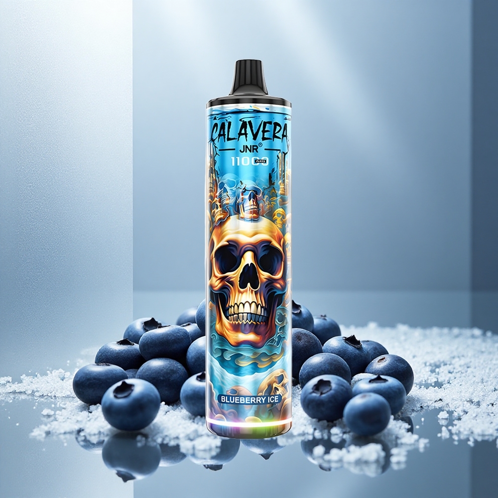 JNR Calavera 11000 Potegov Enkratna E-cigareta Borovnični Led z USB-C in 850 mAh