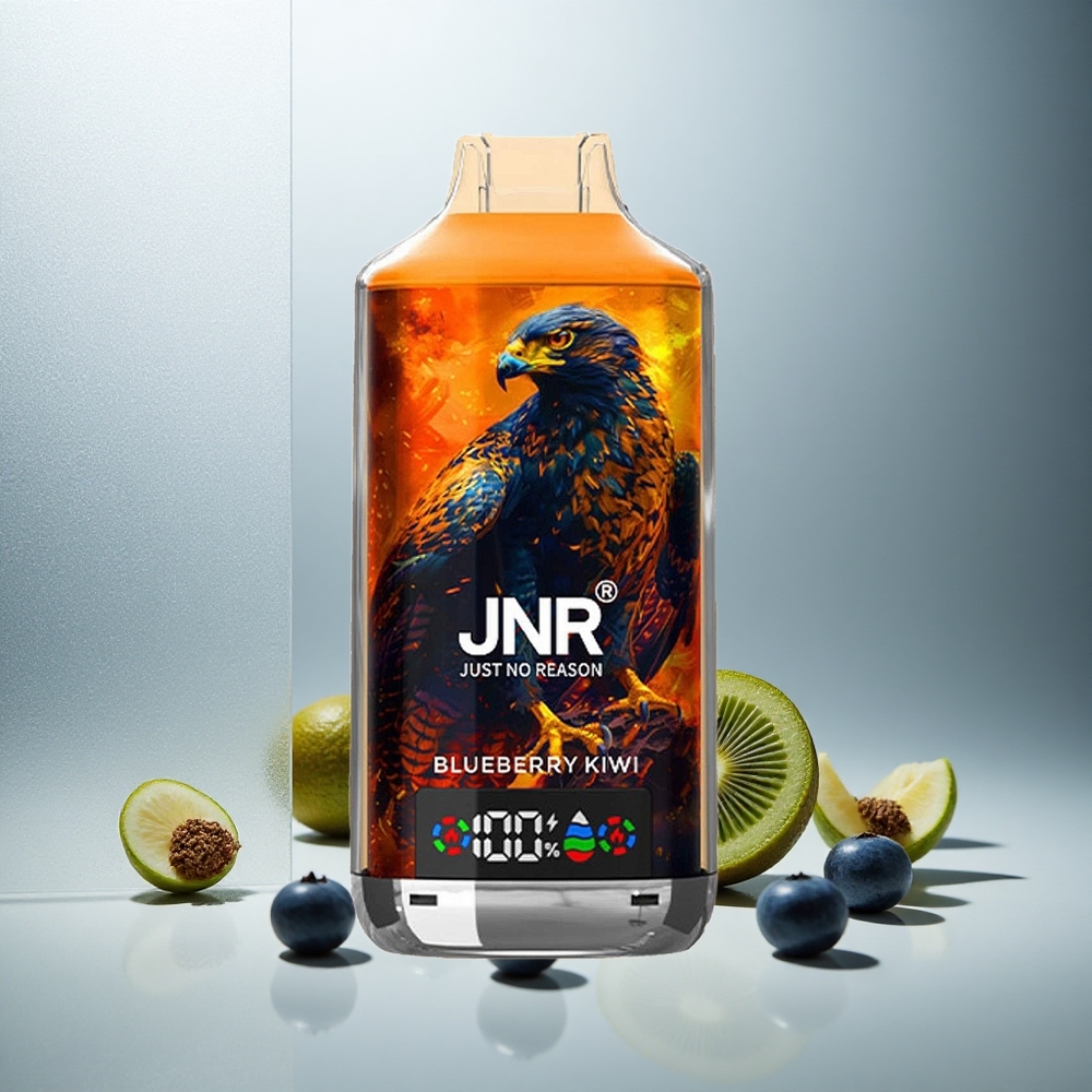JNR Falcon X 18000 Pofov Enkratna Vape Borovnica Kivi z 750mAh Baterijo in 24ml E-tekočine