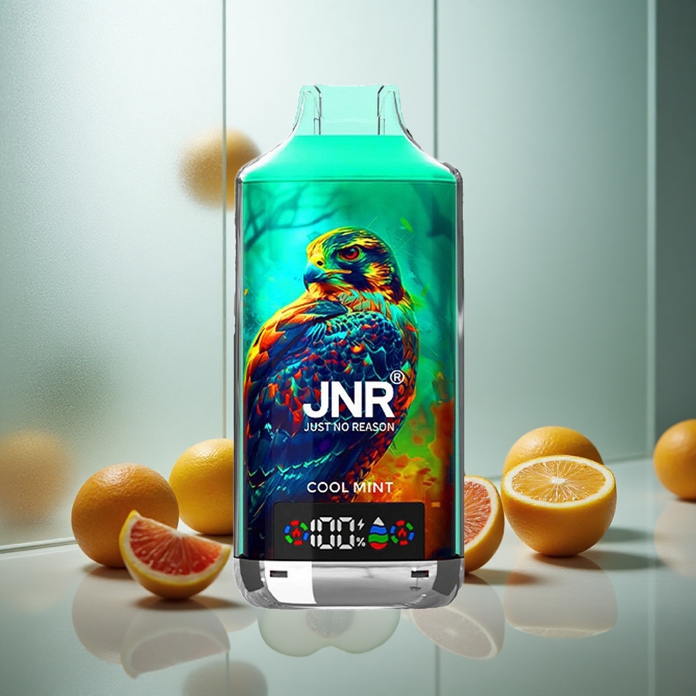 JNR Falcon X 18000 Pufov Enkratna E-cigareta Hladna Meta 24ml 750mAh