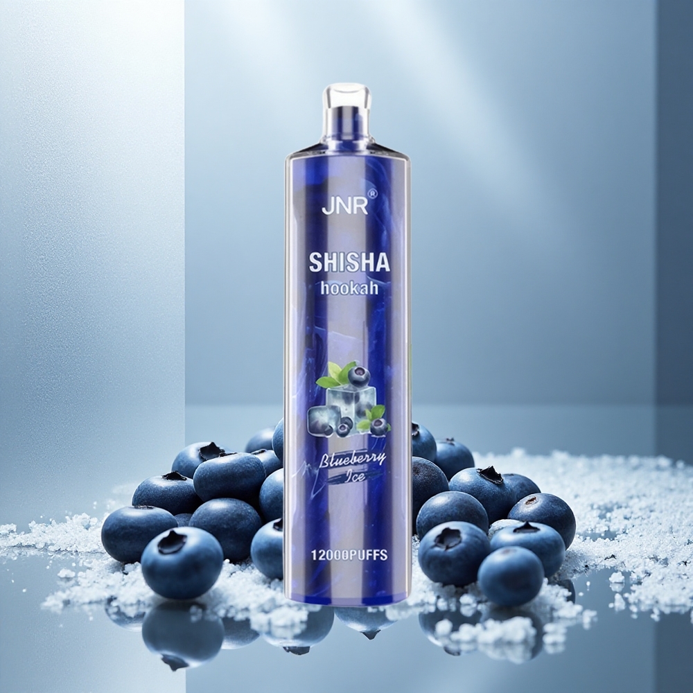 JNR Shisha Hookah 12000 Puffs Enkratna E-cigareta Borovnica Led z 24ml E-tekočine in 750mAh Baterijo