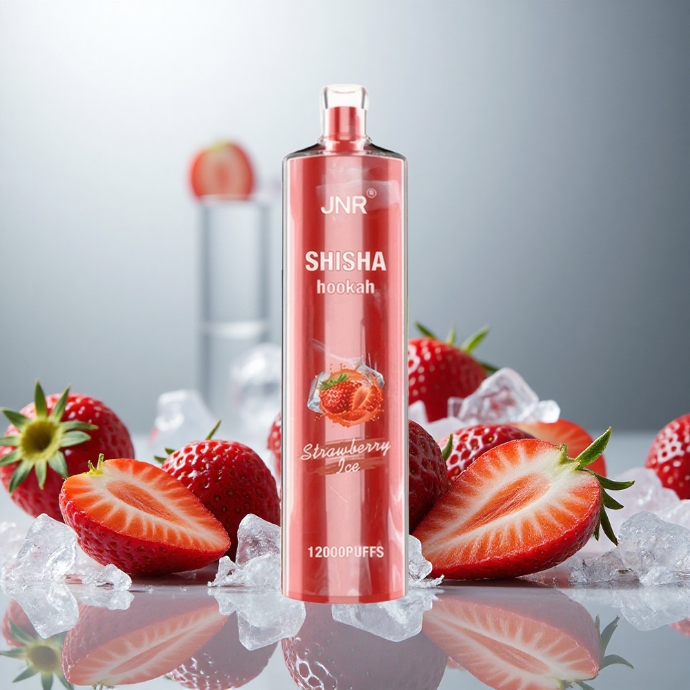 JNR Shisha Hookah 12000 Puffs Enkratna E-cigareta Jagodni Led z 24ml E-tekočine in 750mAh Baterijo