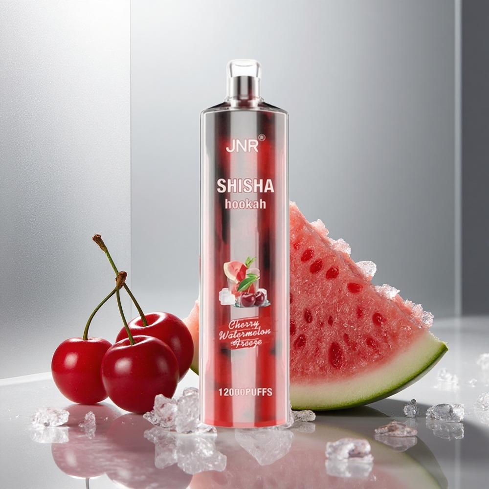 JNR Shisha Hookah 12000 Pufov Enkratna E-cigareta Češnja Lubenica Frost 24ml/750mAh Type-C