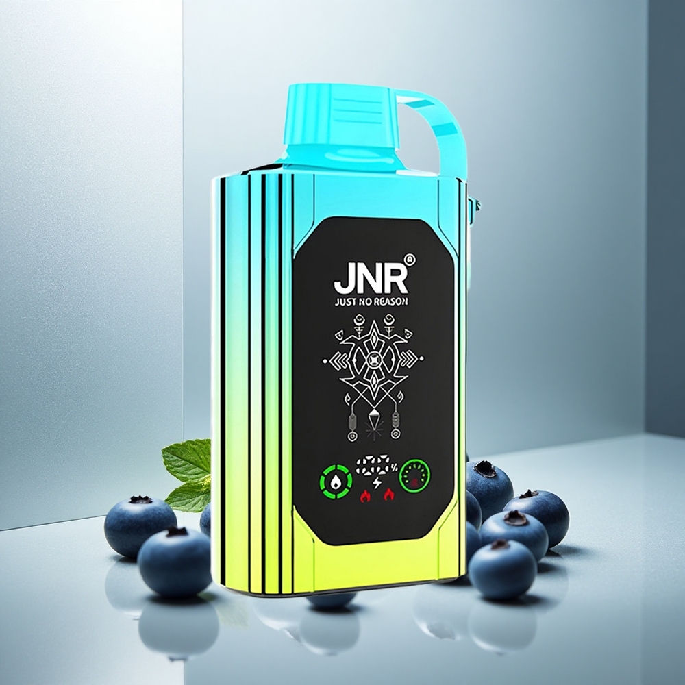 JNR Shisha Hookah Box 20500 Puffs Enkratna Vape Borovnica Meta z 25ml Tekutine in 1000mAh Baterijo