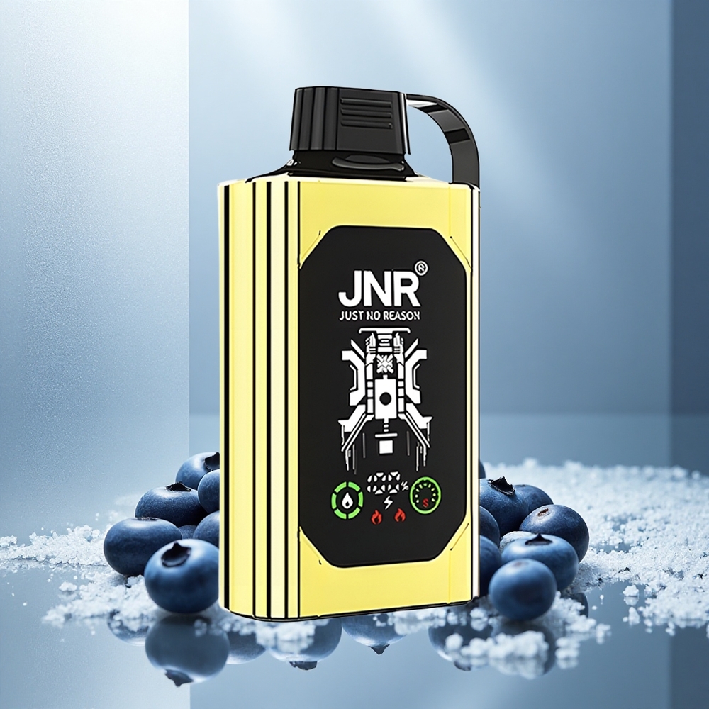JNR Shisha Hookah Box 20500 Pufov Enkratna Vape Borovnica Led z HD zaslonom in 25ml tekočine
