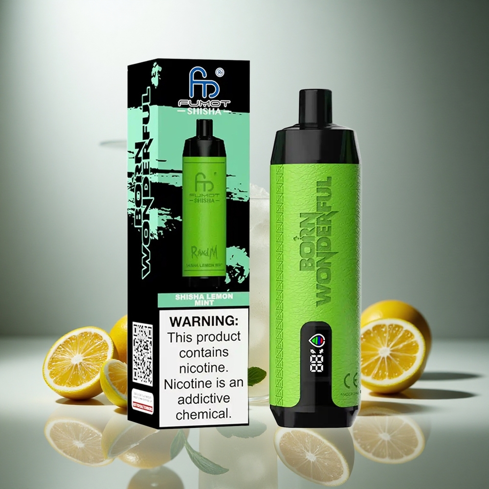 RandM Fumot Shisha 10000 Puffov Enkratna Vape Shisha Limeta Meta z LED Indikatorjem in 18ml E-tekočine